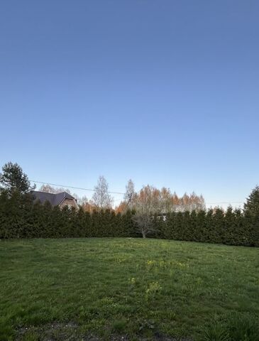 земля Садового товарищества Желтый Луг тер фото