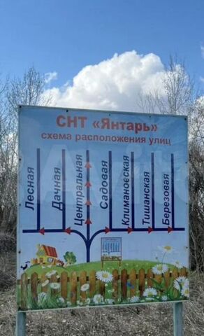снт Янтарь ул Климановская НСОТ фото
