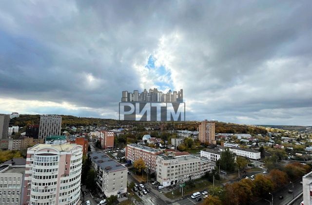 квартира г Пенза р-н Ленинский ул Пушкина 15 ЖК «Триумф» фото 2