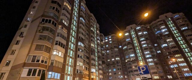 Солнцево парк ул Лётчика Грицевца 7 Пыхтино фото