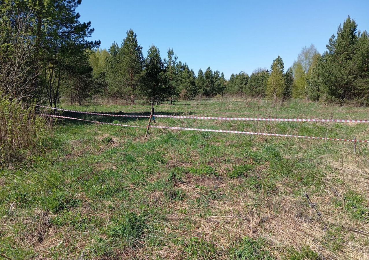 земля г Арзамас ул Лесная сельский пос. Новинки фото 2
