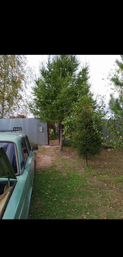 земля городской округ Сергиево-Посадский г Краснозаводск 71 км, 21-й пр, Ярославское шоссе фото 15