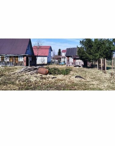 снт Сокол Путиловское сельское поселение, садоводческий массив Назия фото