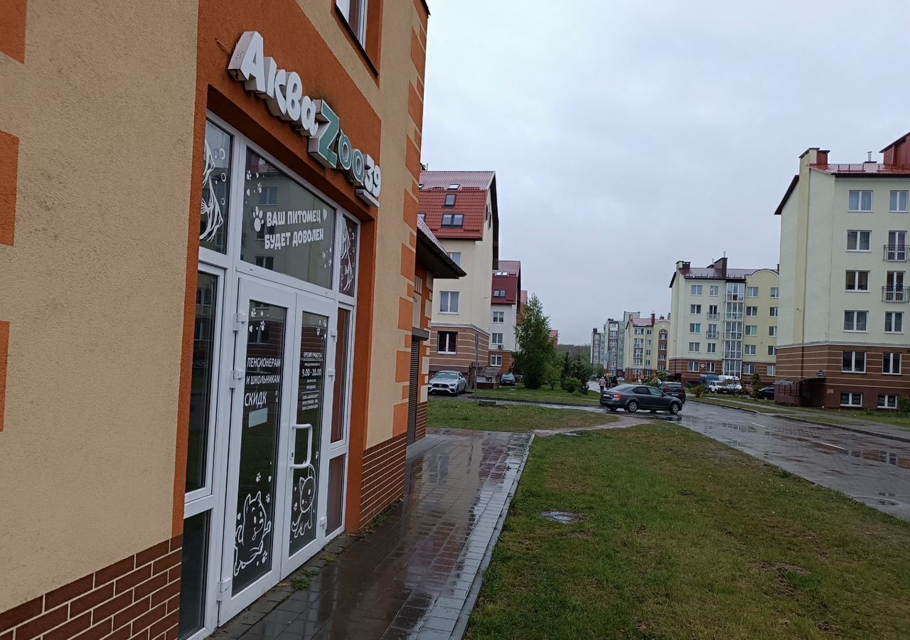 свободного назначения р-н Гурьевский г Гурьевск б-р Пражский 3б фото 4