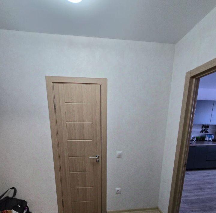 квартира г Воронеж р-н Центральный ул Пескова 3 фото 9