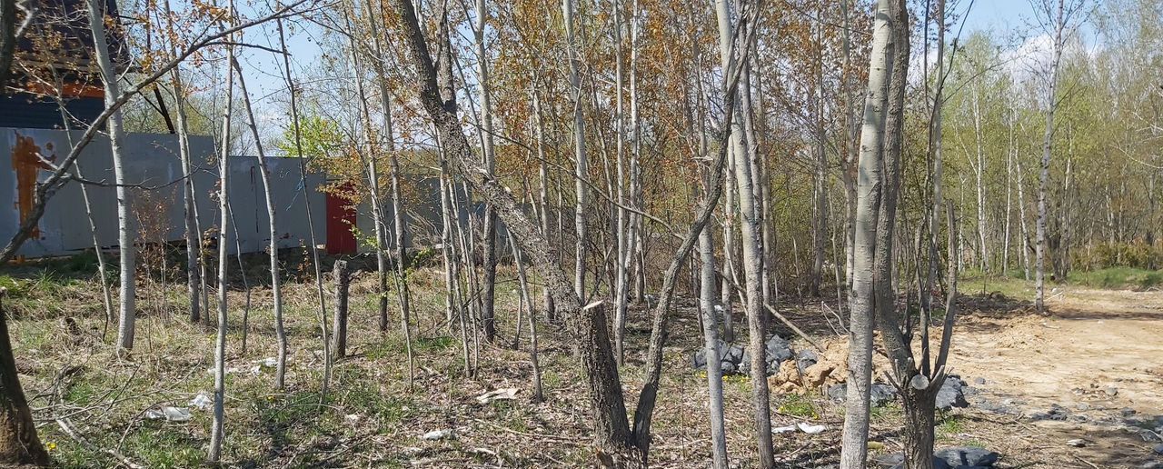 земля г Хабаровск р-н Краснофлотский ул Голубкова фото 7