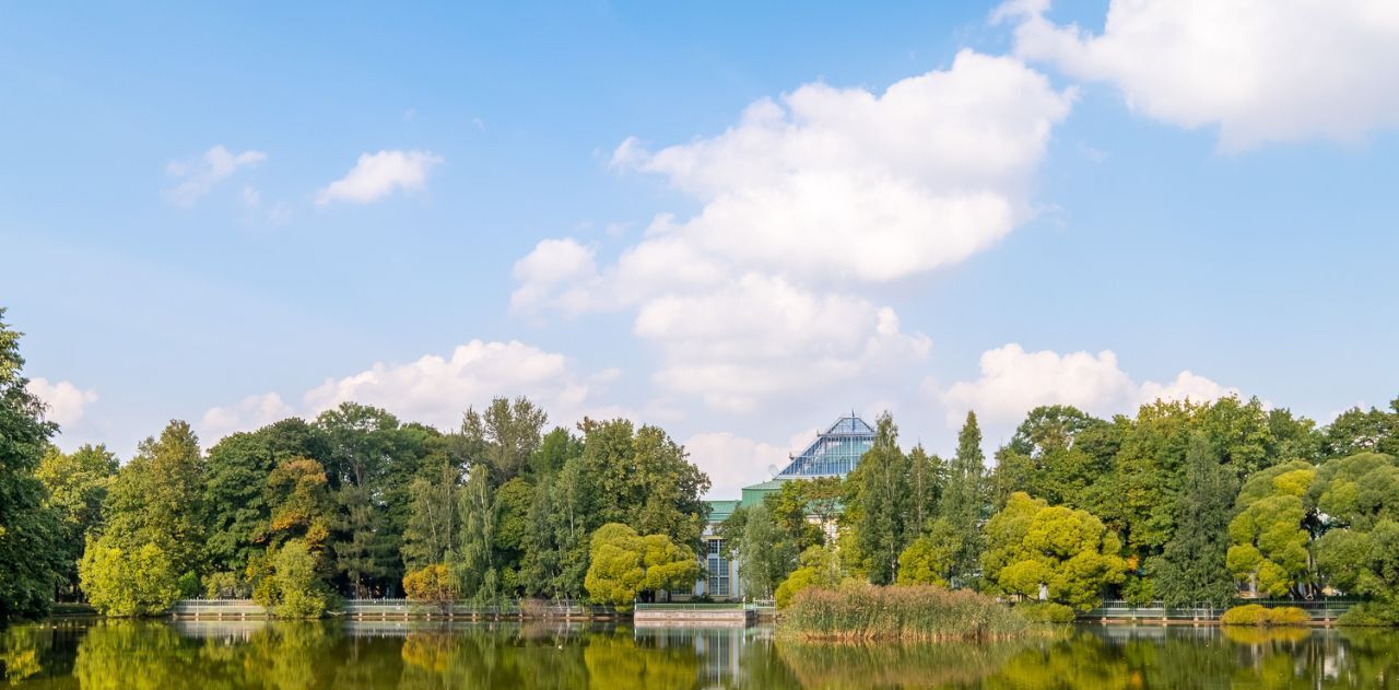 квартира г Санкт-Петербург метро Чернышевская ул Тверская 1 фото 14