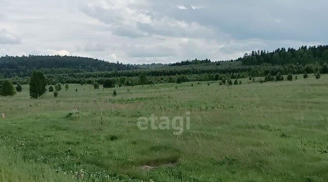 земля р-н Заларинский рп Залари фото
