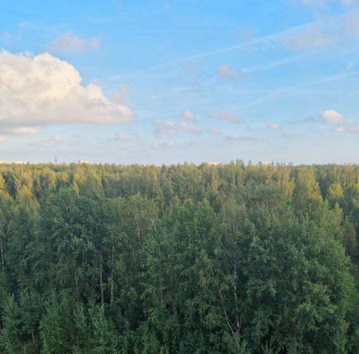 квартира г Санкт-Петербург метро Озерки наб Реки Каменки 19к/3 фото 8