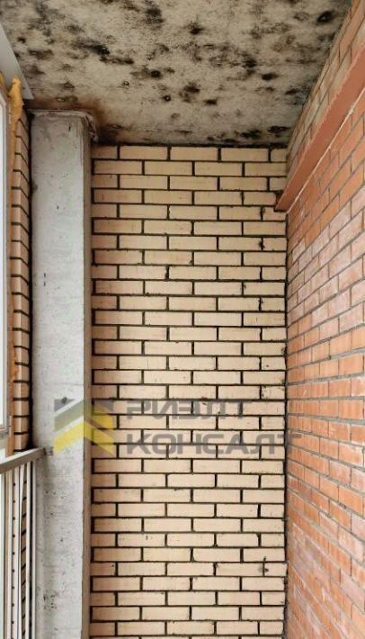 квартира г Омск р-н Советский ул Малиновского 16к/2 фото 11