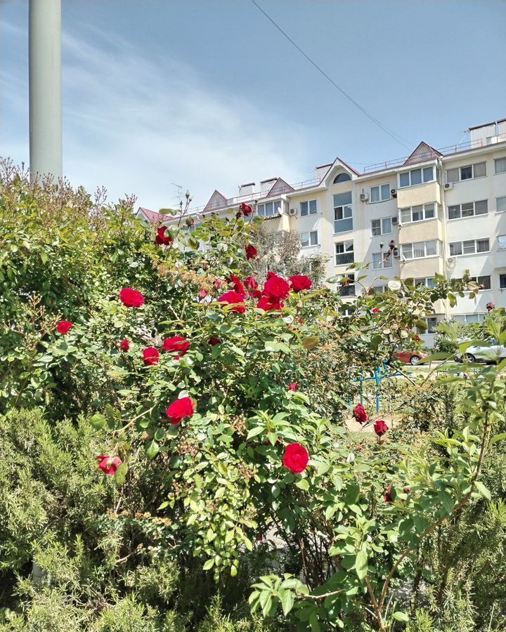 квартира г Сочи р-н Адлерский ул Худякова 29/3 фото 7