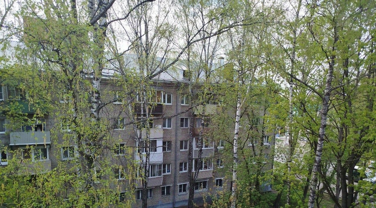квартира г Наро-Фоминск р-н Центральный проезд Маяковский 24 Пушкино фото 8