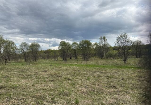 100 км, Можайск, Минское шоссе фото