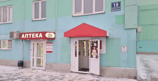 р-н Кировский ул Виктора Шевелева 18 фото