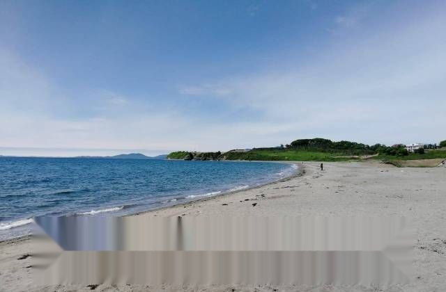 дом г Находка сад снт Зеленый ул Морская 16 Находкинский г. о., сад фото 7
