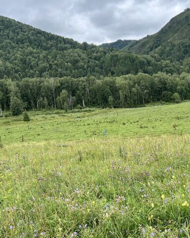 земля ул Трактовая Горно-Алтайск фото