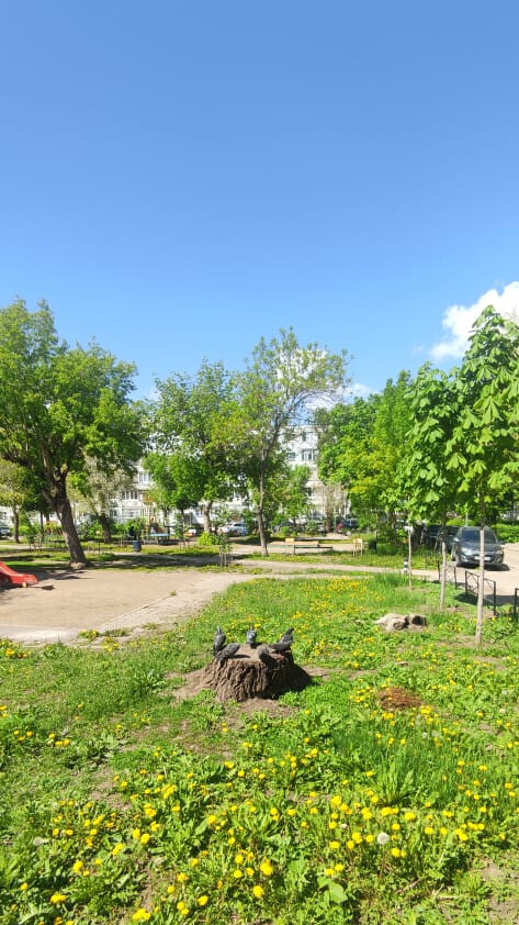 квартира г Тольятти 4-й квартал пр-кт Степана Разина 10 м-н фото 19