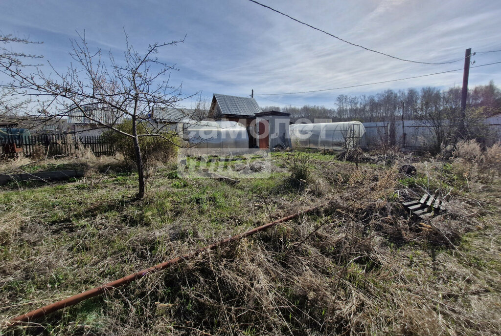 земля г Карабаш снт Русское поле Озерский городской округ фото 2