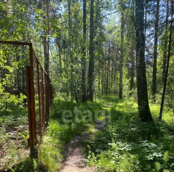 офис г Верхняя Пышма фото 4