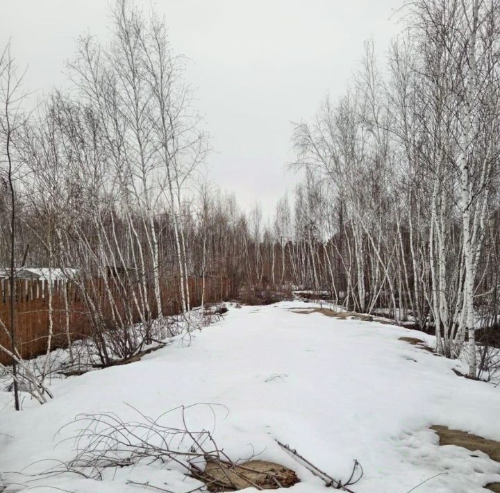 земля г Якутск Покровский тракт, 16-й км фото 3