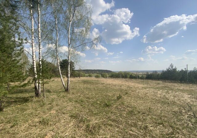 д Грибовка снт тер.Грибное местечко сельское поселение Высокиничи, Жуков фото