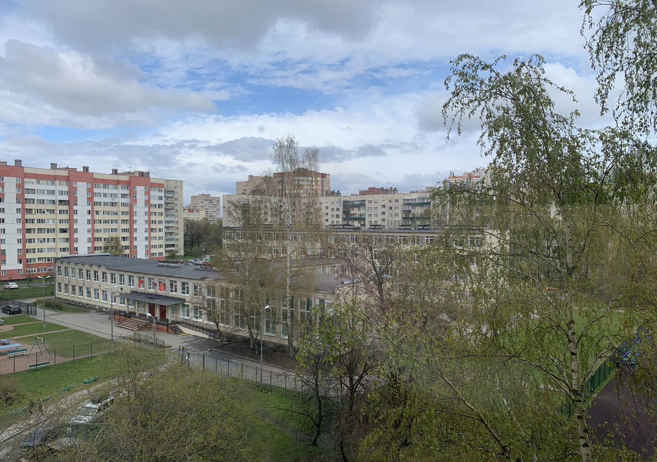 комната г Санкт-Петербург метро Проспект Просвещения пр-кт Художников 24к/3 фото 6