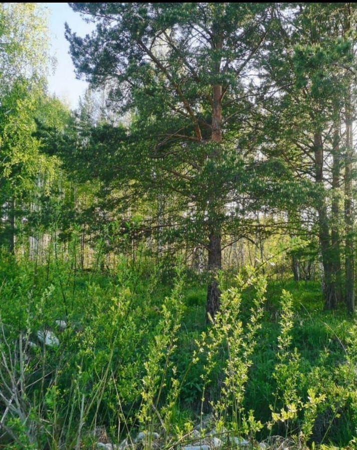 земля г Березовский п Шиловский Екатеринбург фото 3