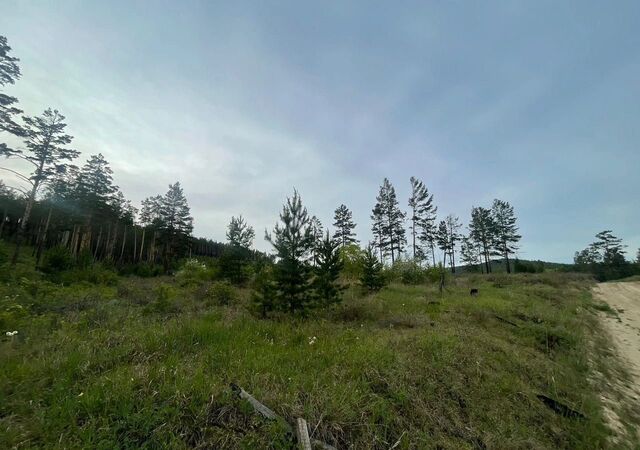 днт Лесная Поляна ул 2-я муниципальное образование Дабатуйское, Улан-Удэ фото