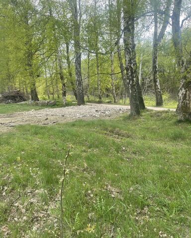 Светлогорск, Зеленоградский муниципальный округ фото