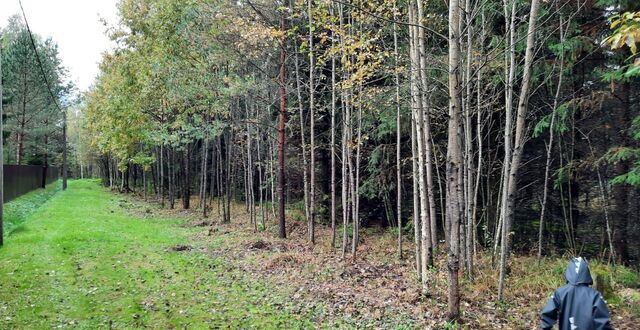 76 км, Центральная ул, СНТ Калинка, Дмитровское шоссе фото