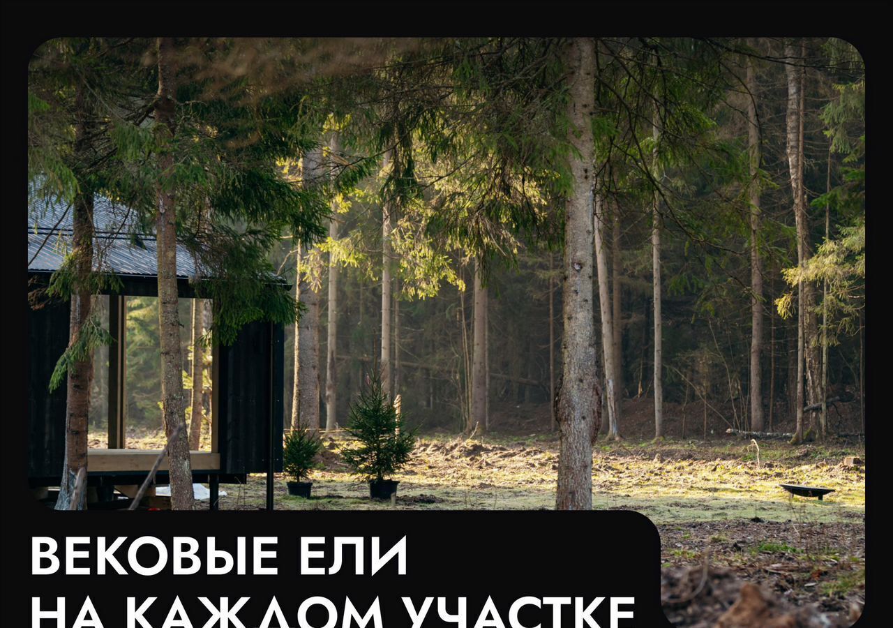 земля г Истра 25 км, коттеджный пос. Аносино Парк, Рождествено, Волоколамское шоссе фото 40