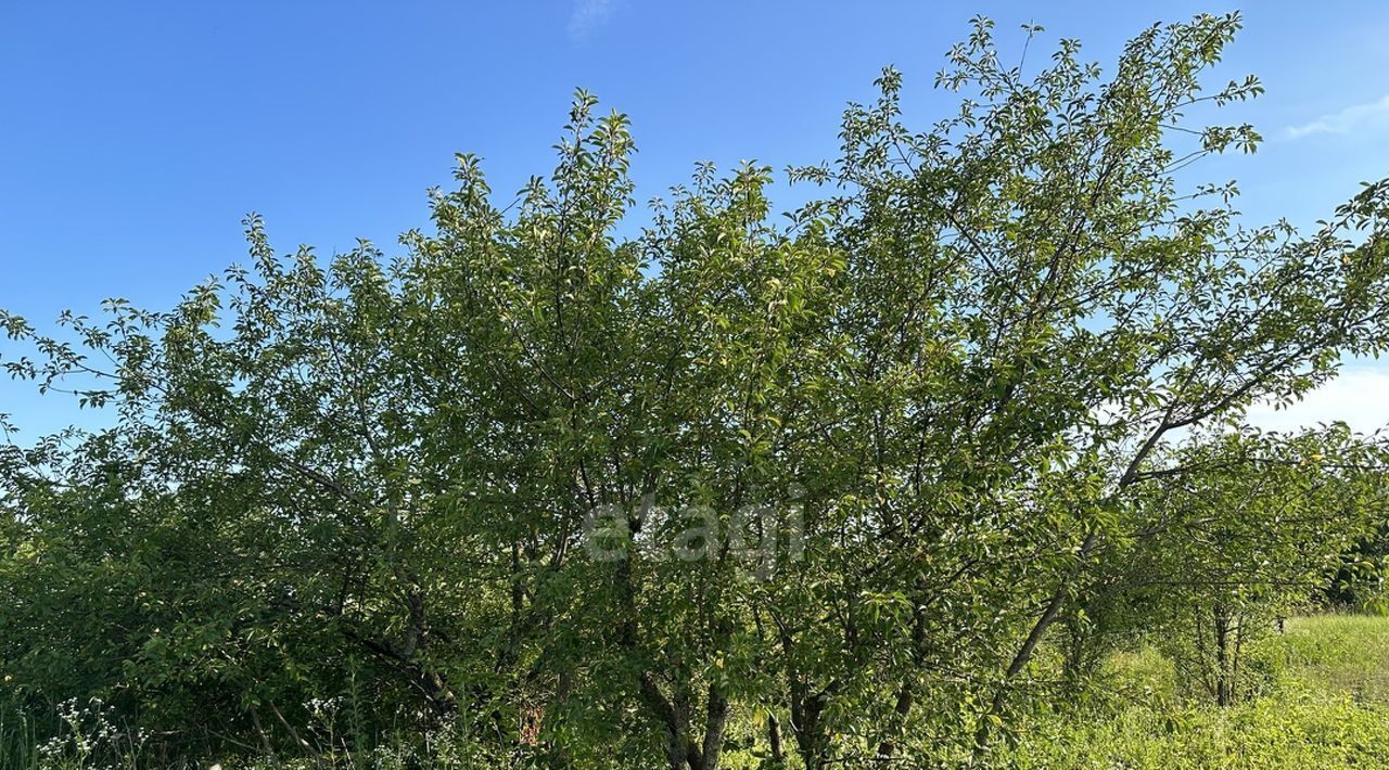 земля р-н Яковлевский г Строитель снт Родничок 371 фото 6