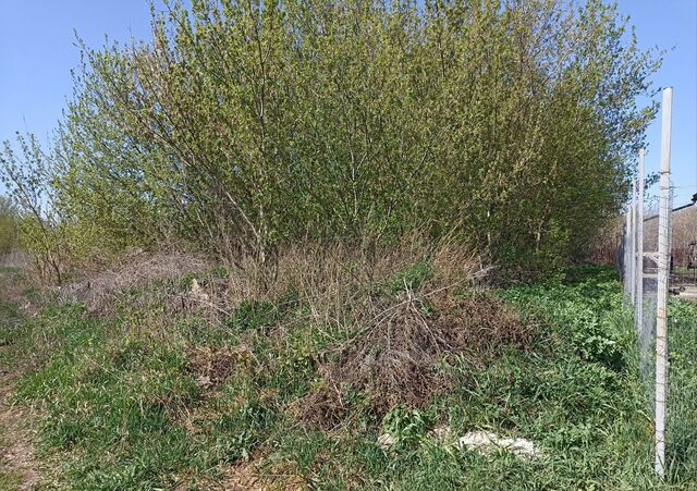 ул Молодежная 60 Гремячье фото