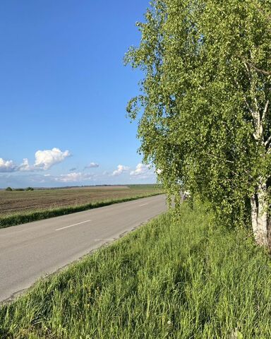Пашковский сельсовет, дачное некоммерческое товарищество Ивушка, Курск фото
