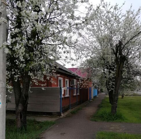ул Свободы 270 фото