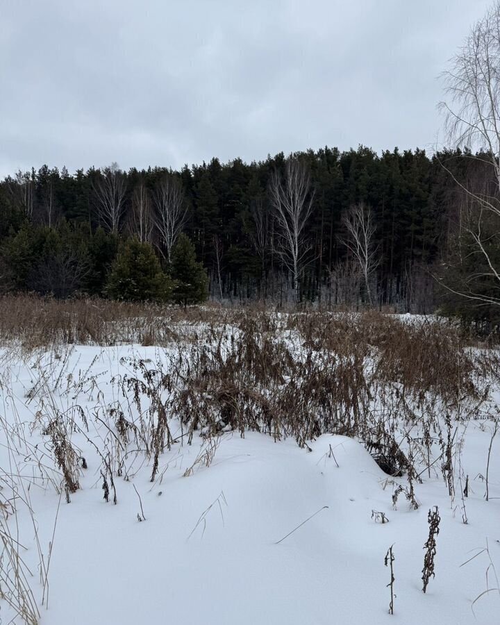 земля г Заречный д Гагарка ул Клубная Белоярский фото 1