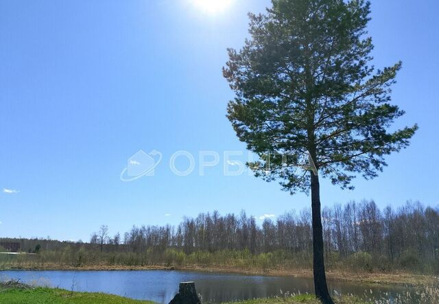 земля снт Сосновая поляна ул 24-я фото