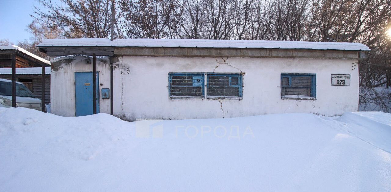 свободного назначения г Барнаул р-н Центральный ул Мамонтова 273 фото 11