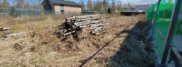 ул Рубцова 31б Улица Дыбенко фото