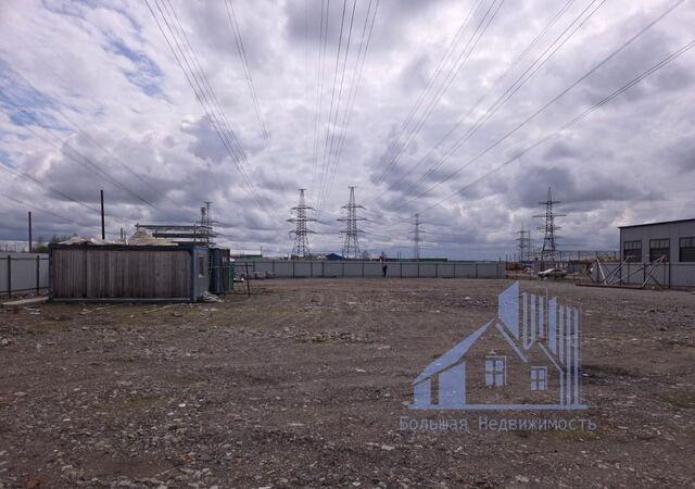д Старая Мурманское шоссе, 4 км, Заневское городское поселение фото