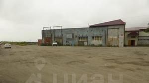 офис Сероглазка жилрайон фото