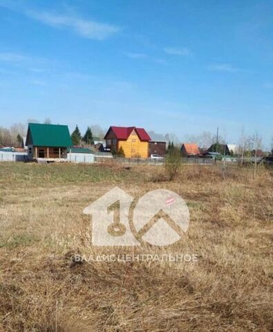 рп Колывань снт Авиастроитель 350 фото