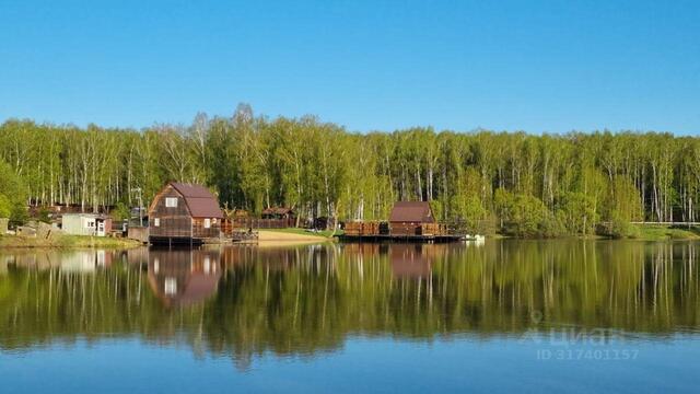 Ромашковая улица фото