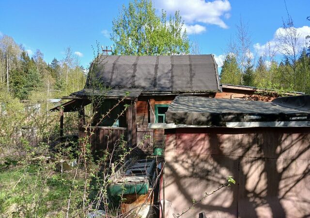 50 км, СНТ Шерна, 82, Большое Буньково, Горьковское шоссе фото