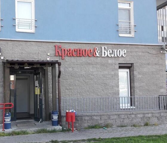 городской пос. Новоселье, 10, Санкт-Петербург, Красносельское ш. фото