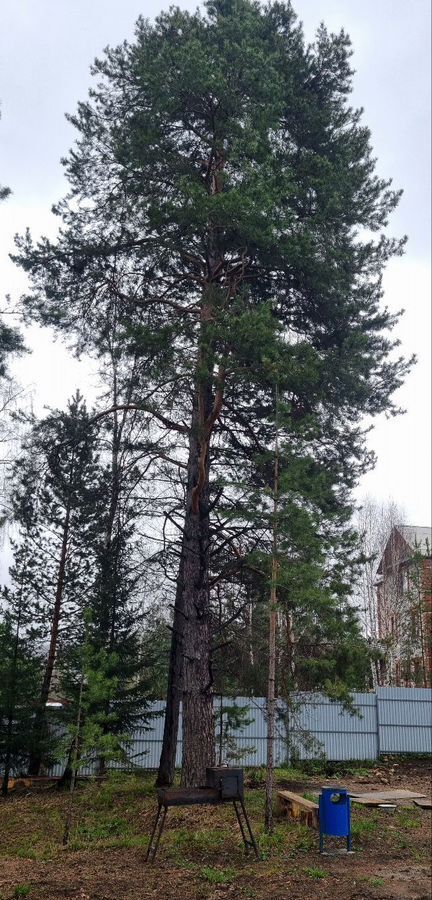 дом г Златоуст п Балашиха фото 3