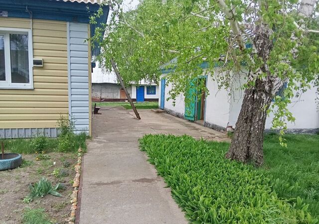 с Берёзовка ул Центральная 80 сельсовет, Берёзовский, Краснощёково фото