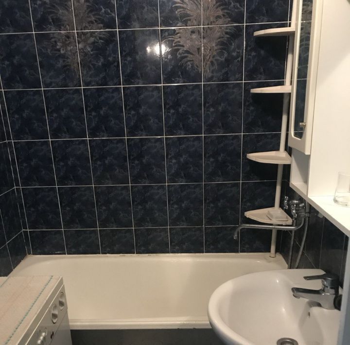квартира г Нижний Новгород Парк культуры ул Сазанова 13 фото 9