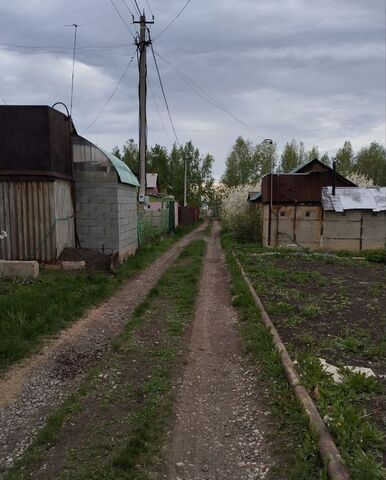 снт Березовая Роща Магнитогорск фото