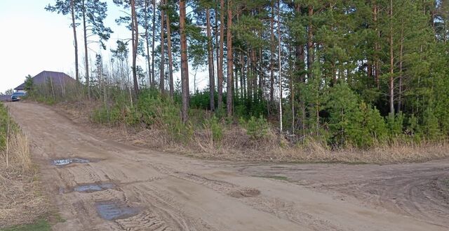 земля пл Карла Маркса фото